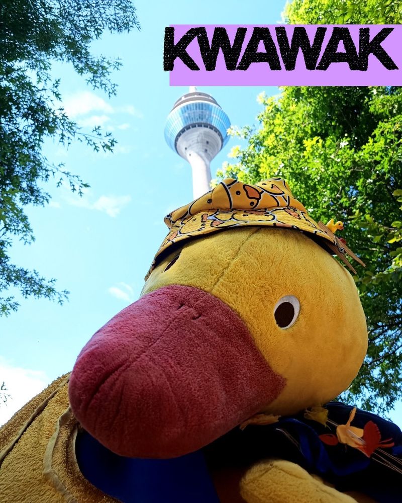 Eine Plüschente mit Hut vor dem Rheinturm. Darüber steht: Kwawak