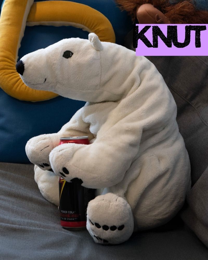 Plüscheisbär Knut