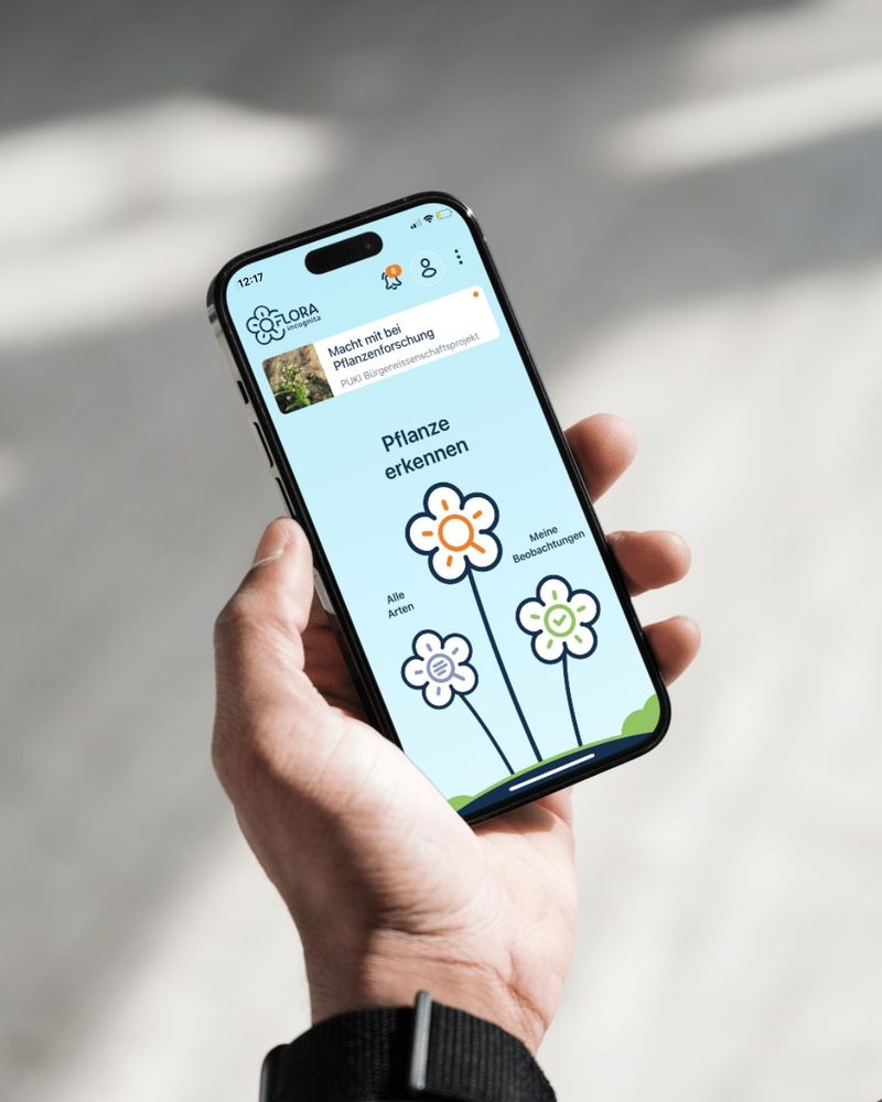 Puki-App auf einem Smartphone 