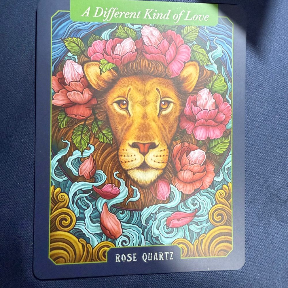 A crystal Oracle card for rose quartz, with art of a lion looking out of a mirror, with roses and rose quartz crystals in its mane. 