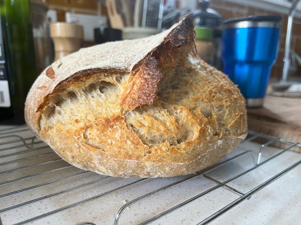 Sourdough boule with good if misshapen ear