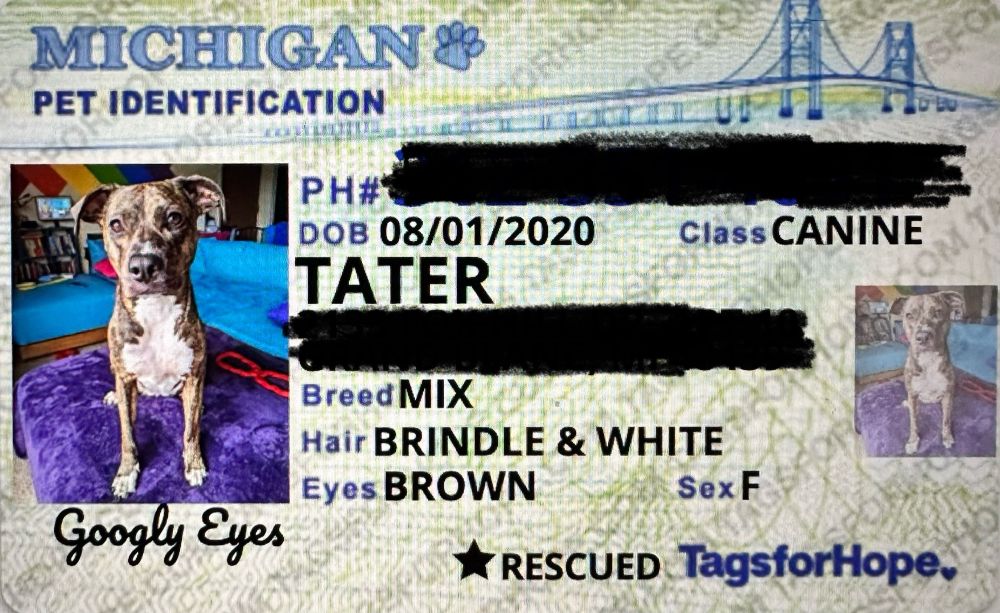 Tater's id card that looks very similar to a Michigan drivers license. 