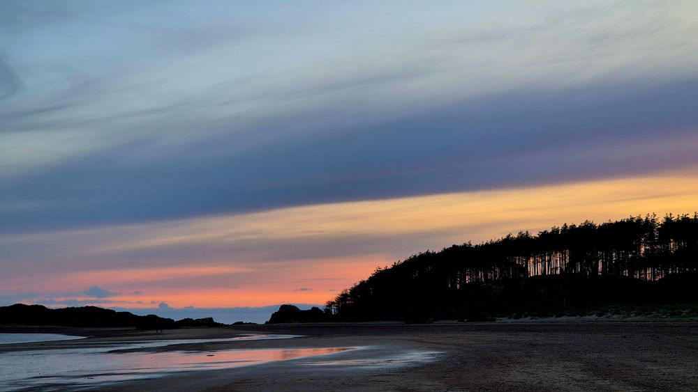 Pink afterglow of sunset through streaky pastel clouds and pale blue skies reflected over the wet sand, and through rocks and trees