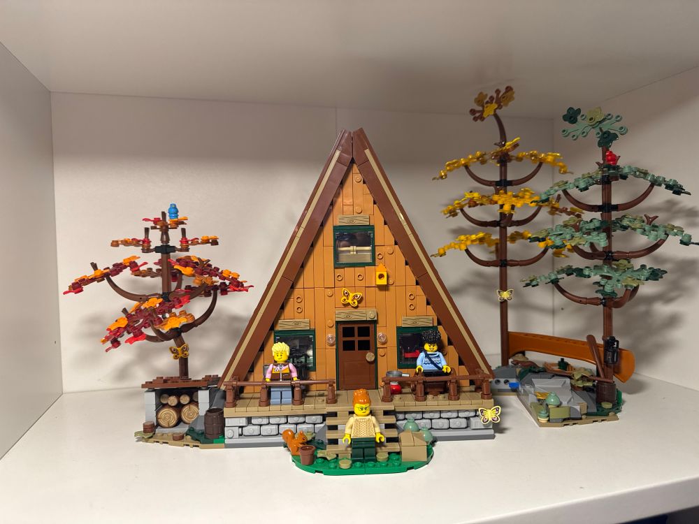 A photo of my A frame canin lego build