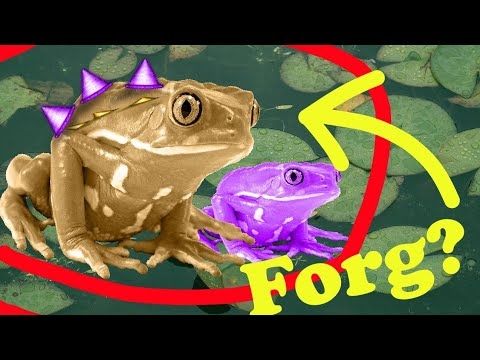 Fantastic Forg