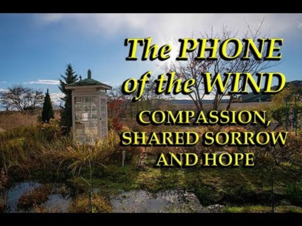Phone of the Wind (風の電話) - Compassion, Shared Sorrow & Hope