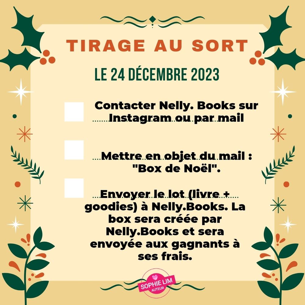 Conditions box de Noël Nelly Books (Instagram)