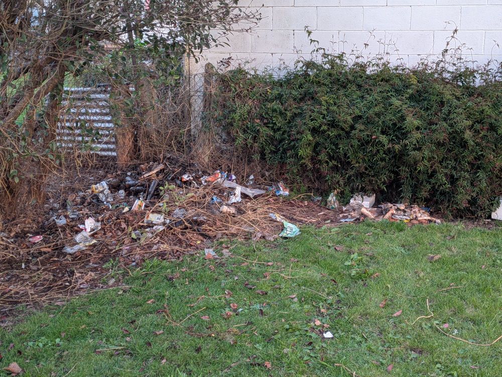 A pile of dumped rubbish and park green waste 