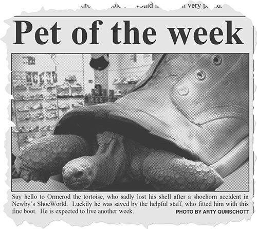 A photo story torn from a local newspaper with the headline “Pet of the Week”. The picture shows a tortoise with an old boot for a shell in a shoe shop. The caption under the picture reads:
Say hello to Ormerod the tortoise, who sadly lost his shell after a shoehorn accident in Newby's ShoeWorld. Luckily he was saved by the helpful staff, who fitted him with this fine boot. He is expected to live another week.
The photo credit reads: Photo by Arty Qumschott.
