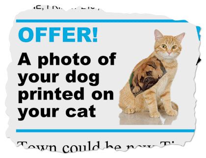 A teaser torn from the front page of a local newspaper. It reads: “Offer! A photo of your dog printed on your cat.” Next to it is a picture of a cat looking pretty miffed that it’s got a picture of a dog printed onto its fur. It’s not even well printed, either. It looks like the kind of thing you’d get done on a pillowcase at Snappy Snaps as a last minute gift for a little-liked work employee who was moving on to pastures new.