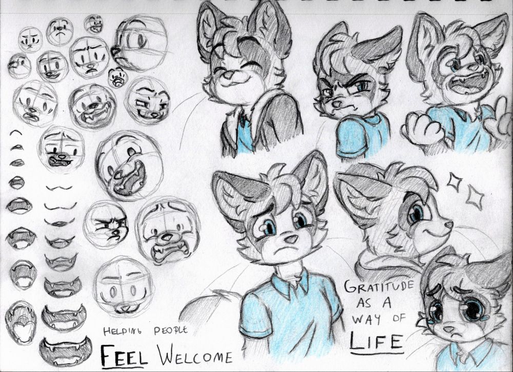 A sketch page from Toasty's sketchbook featuring several expressions and facial features 