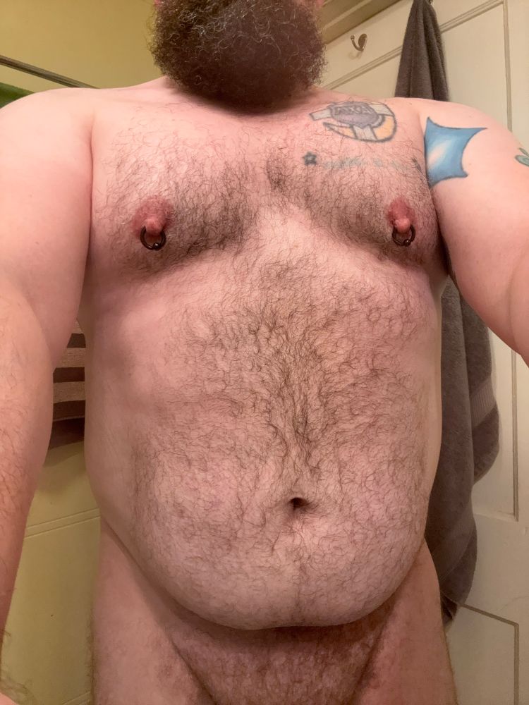 Thicc hairy man, from beard to pubes, naked and taking a selfie of his belly. 