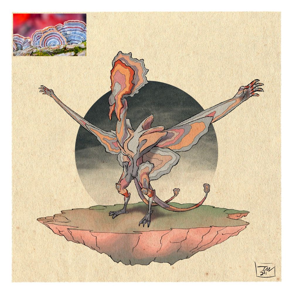 #funguary Theme - Celestial, Day 3: Turkey Tail. Is a common mushroom found throughout the world. Meaning “of several colors” this fungus displays a unique blend of markings ranging from dark browns to bright blue.