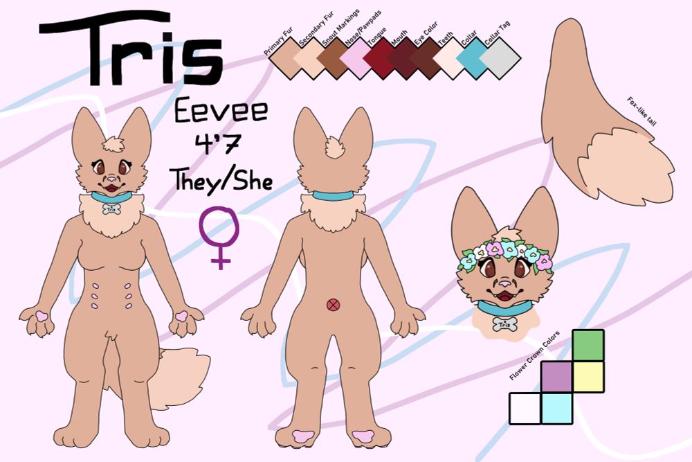 Ref sheet showing two angles of an Eevee character named Tris and her accessories 