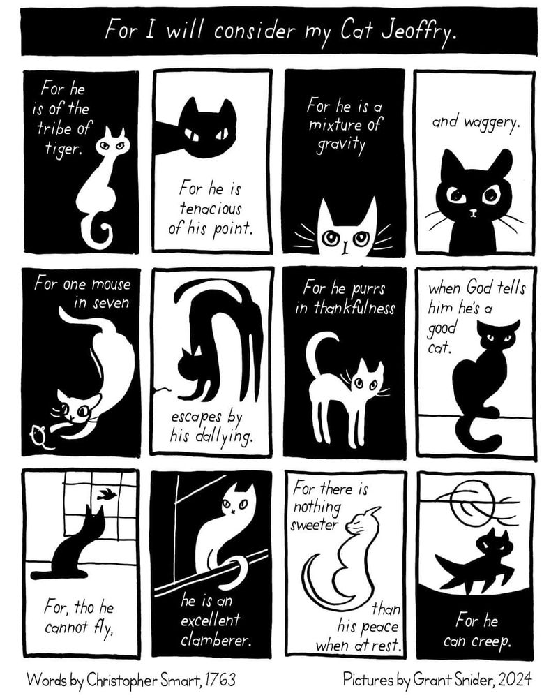 Words by Christopher Smart, 1763

For I will consider my Cat Jeoffry 

For he is of the tribe of tiger.
For he is ferocious of his point.
For he is a mixture of gravity and waggery.
For one mouse in seven escapes by his dallying.
For he purrs in thankfulness when God tells him he is a good cat.
For, tho he cannot fly, he is an excellent clamberer.
For there is nothing sweeter than his peace when at rest.
For he can creep.

(The entire work is illustrated by Grant Snider in alternating black and white simple cartoons featuring a cat doing cat things.)