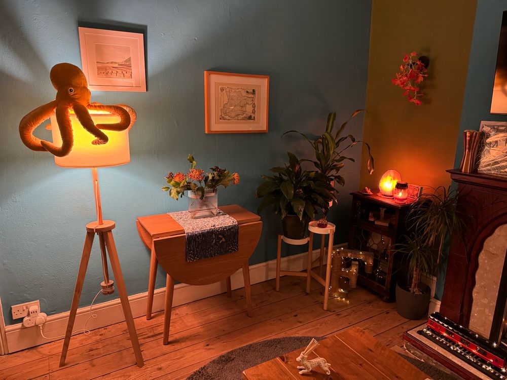 Another view of the living room (and octopus).