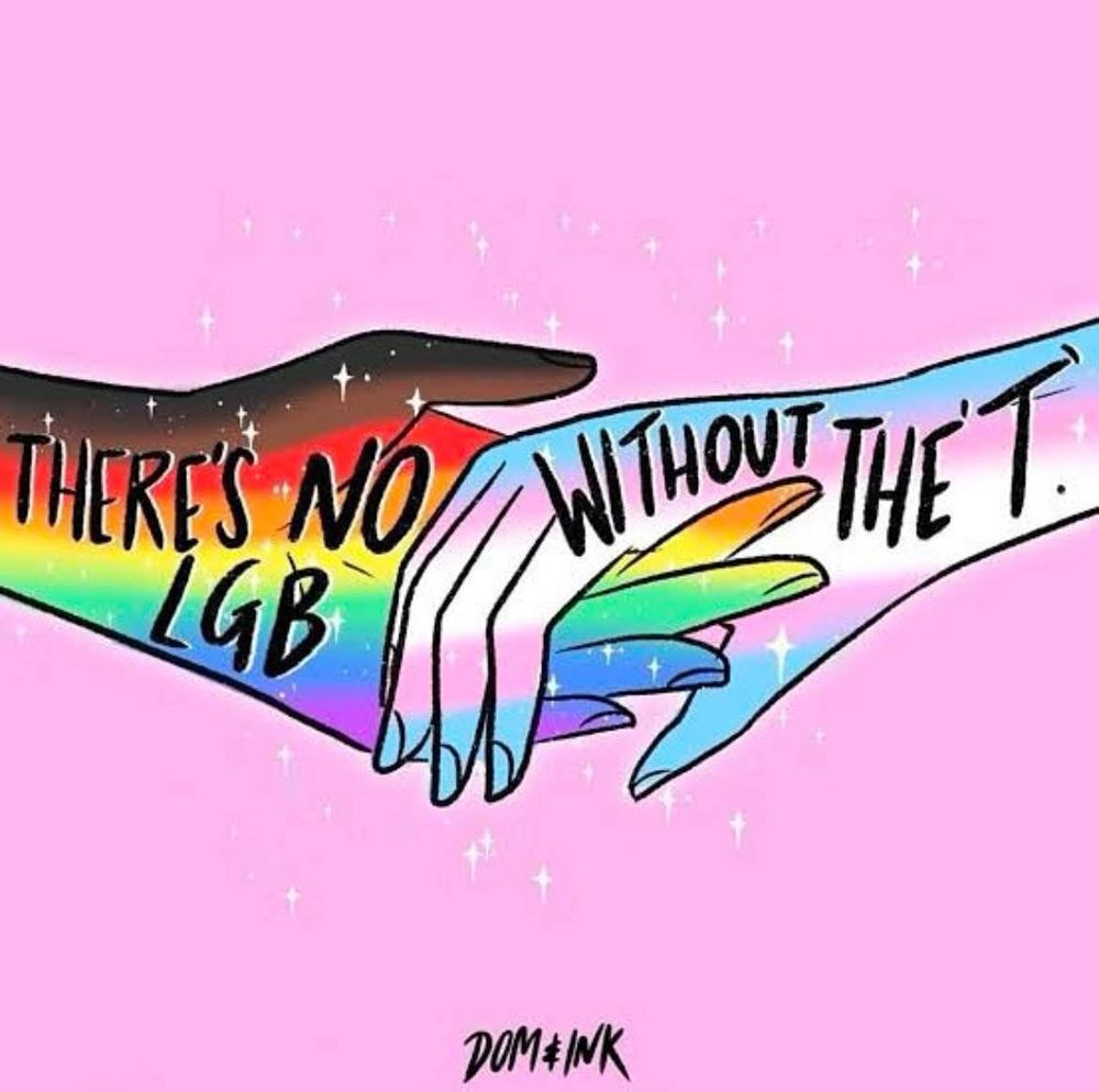 A digital drawing of two hands holding one another with a pink background. On the left is a hand in black, brown and rainbow stripes with the text “There’s no LGB” written across it. On the right is a hand in trans flag colors with the text “without the T” written across it.