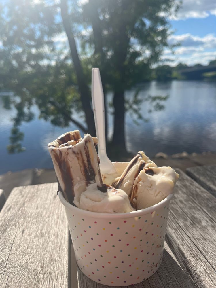 Rolled banana ice cream with chocolate overlooking a lake with trees
