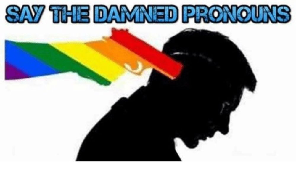 “say the damned pronouns” meme 