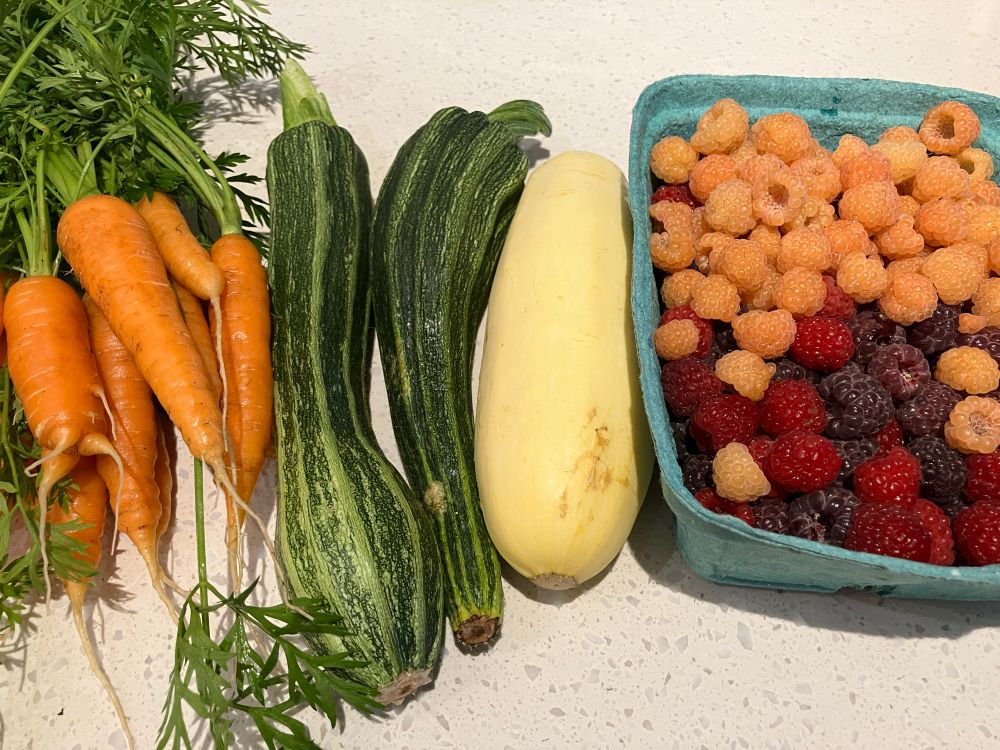 From left to right: orange carrots with their green tops still attached, 2 green zucchini, one light yellow zucchini, and a large box of raspberries (3 colours of raspberries: golden, which are yellowish pink, red, and deep purple). 
