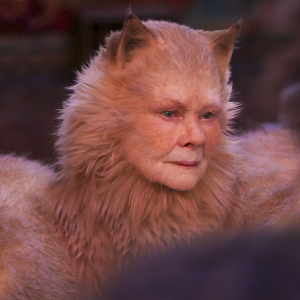 Judi Dench as a cat in cats 