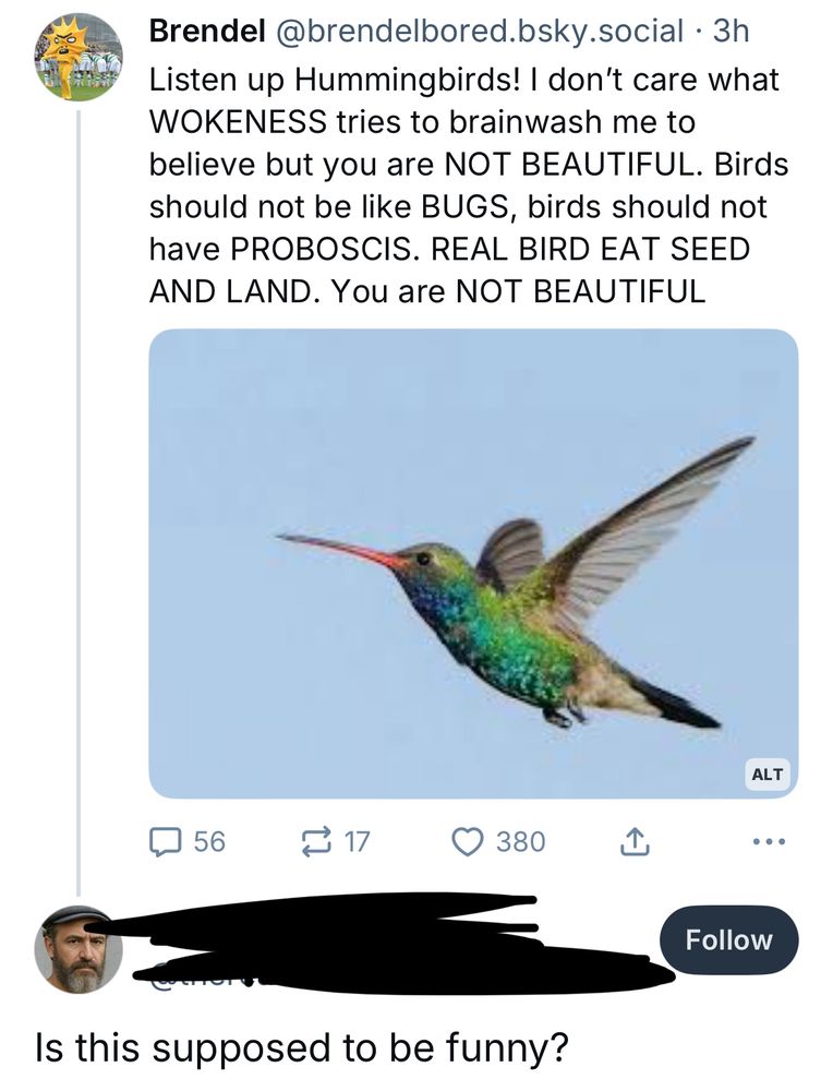 Someone asking if my antagonistic post towards hummingbirds was meant to be funny 