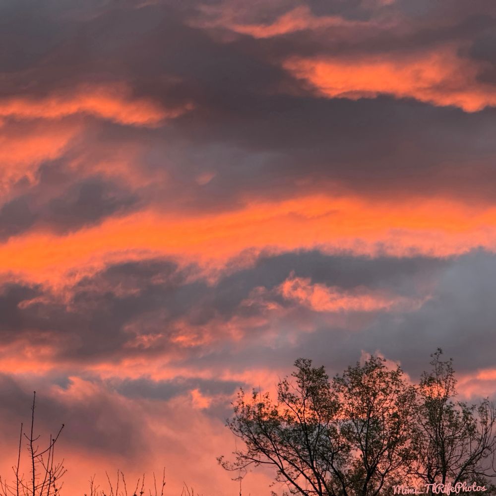 This photo was taken in April 2025 in East Tennessee. It’s an orange colored sunset with a few gray clouds. Green trees line the bottom of the photo.