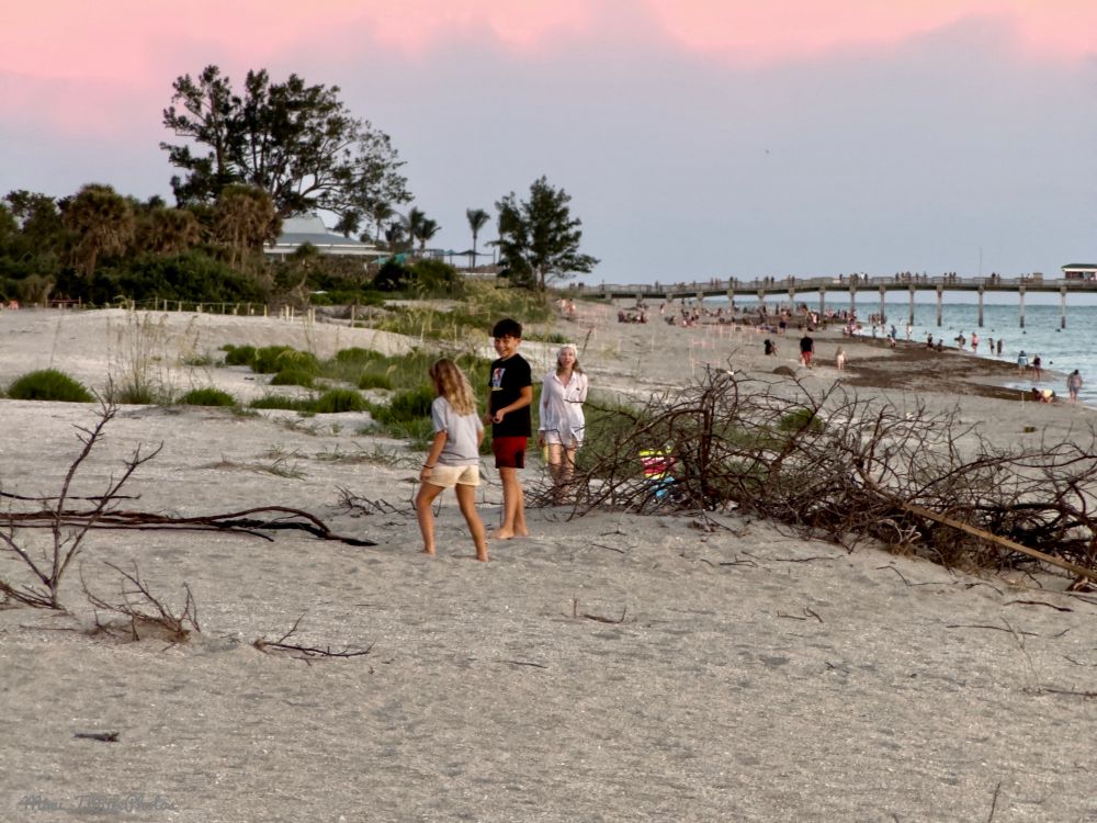 Three kids are playing together on the beach. You can see the ocean in the background and a long pier. There are pieces of wood/sticks on the sand and trees in the background. There are also more people way off in the background by the pier.