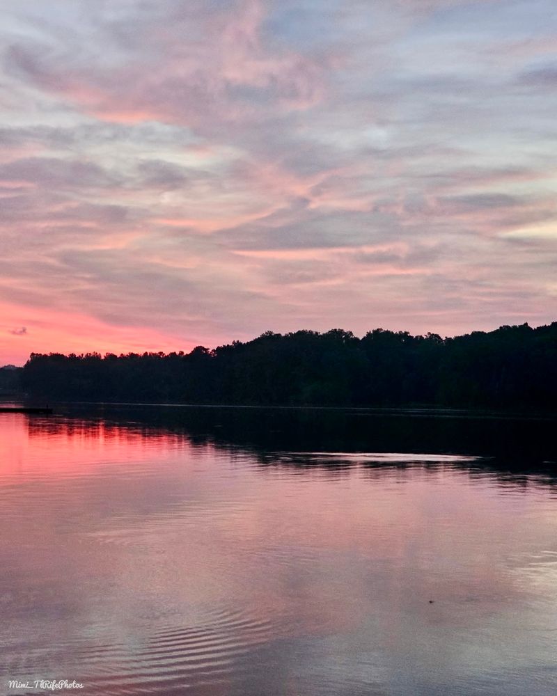 A pink sunrise with pink clouds and the sun’s pink reflection on the lake water. There are ripples on the lake and trees in the background