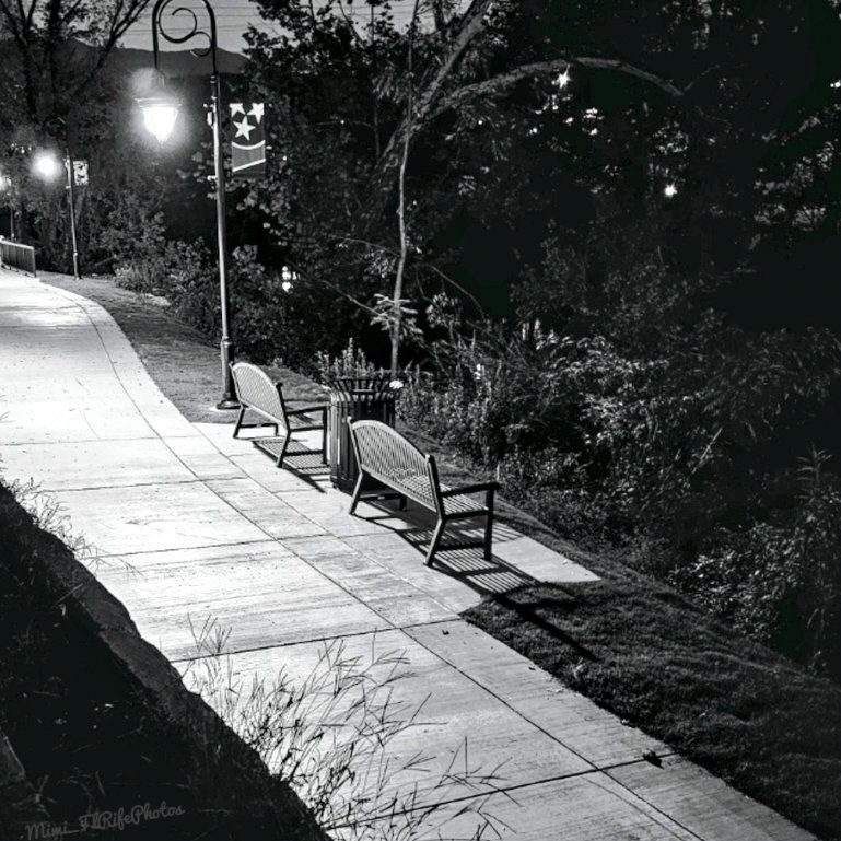 A black and white photo taken after dark of a sidewalk, two park benches, two light posts, and a trashcan. Green trees and grass surround the sidewalk.