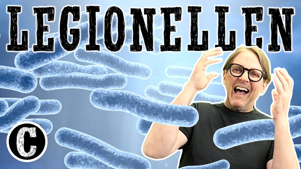 Legionellen sind Bakterien, die sich in den Trinkwasser-Systemen in unseren Häusern recht wohl fühlen.