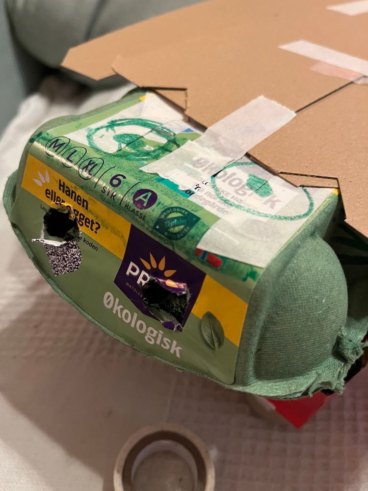 Detalj, nærbilde av eggekartong-hovudet, der Mektige Dotter har teikna på auge og noggrant hogd ut nasebor. Opningen på eggekartongen er munnen.