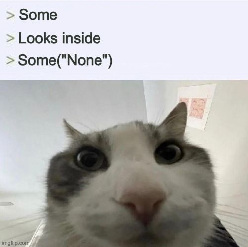 Cat Looks Inside Meme where you have a rust Option enum that is Some but when looking at the value it's actually Some("None")
