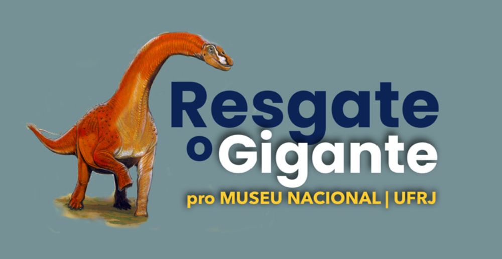 Benfeitoria - Resgate o Gigante pro Museu Nacional/UFRJ: montagem do Maxakalisaurus topai