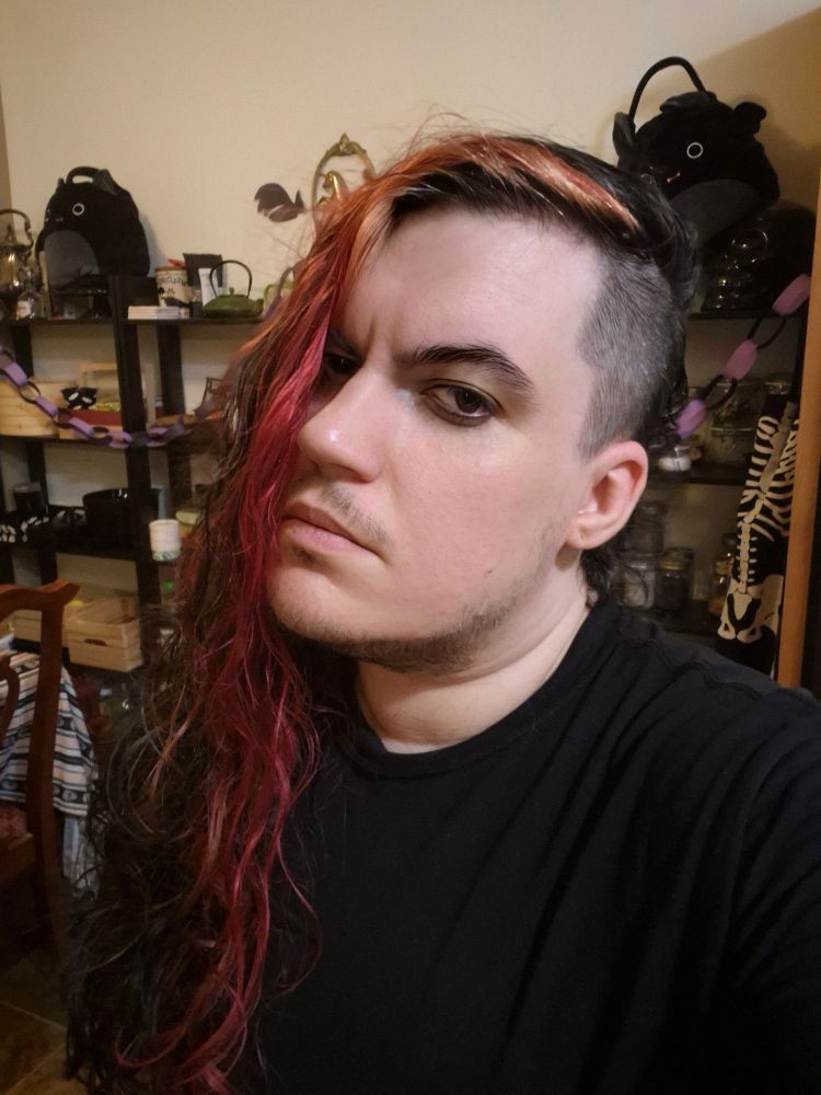 Selfie of me , goth guy with long black and red hair 