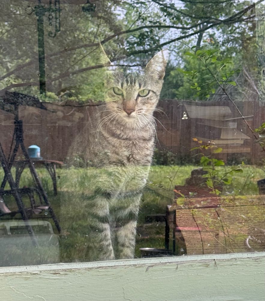 Post image (had no alt text on Bluesky)