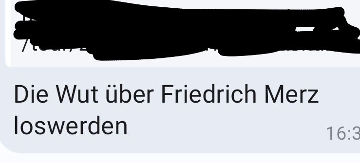 Die Wut über Friedrich Merz loswerden.