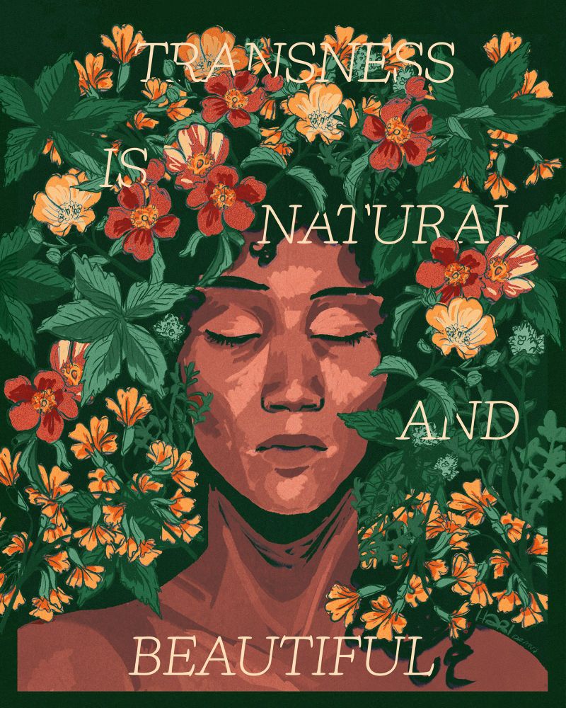 illustration of plants an flowers growing around a person reads 'transness is natural and beautiful'