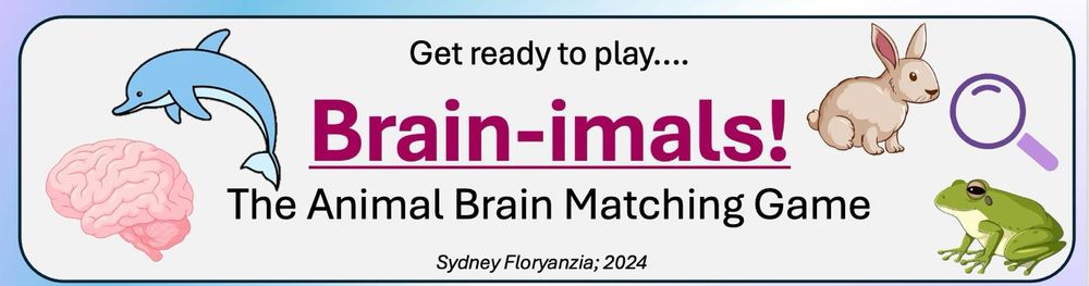 An infographic from brain-imals with a cartoon dolphin, human brain, rabbit, magnifying glass, and frog