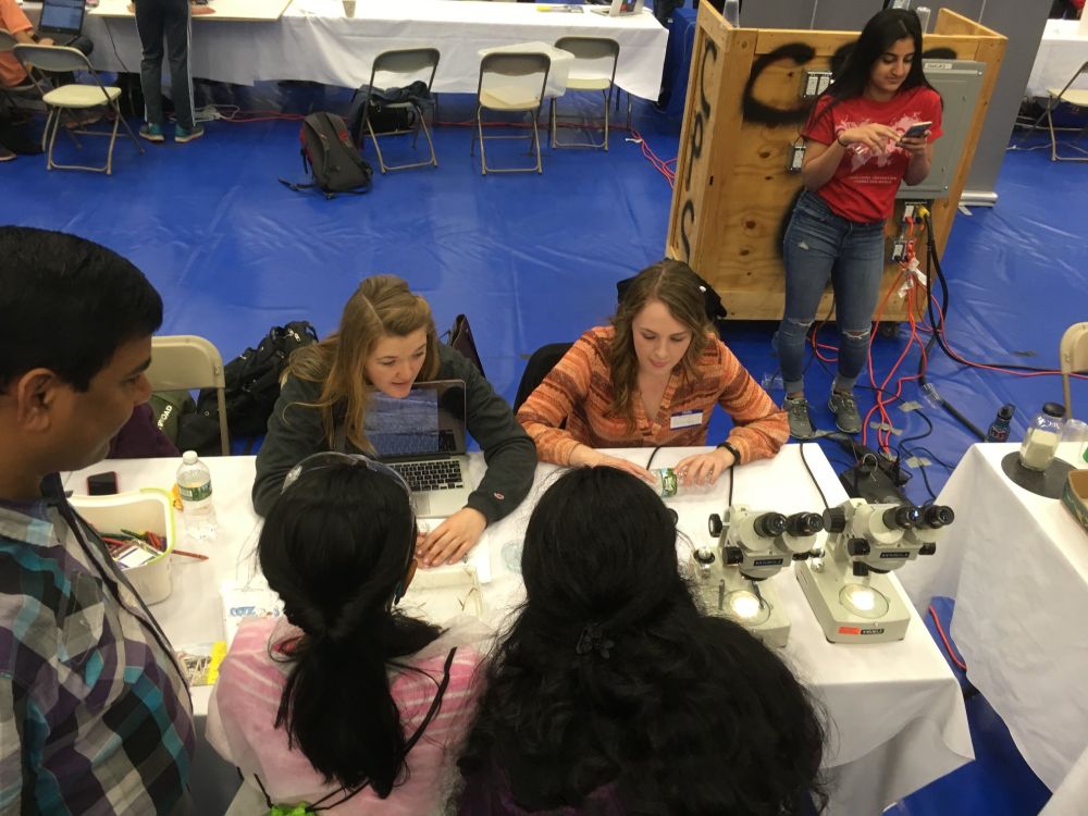 Two scientists showing students zebrafish swimming under a microscope