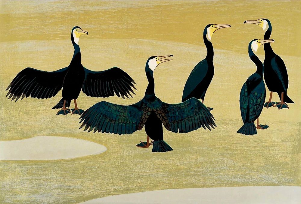Yamaguchi Kayo -  "Cormorants," 
woodblock print, 1963