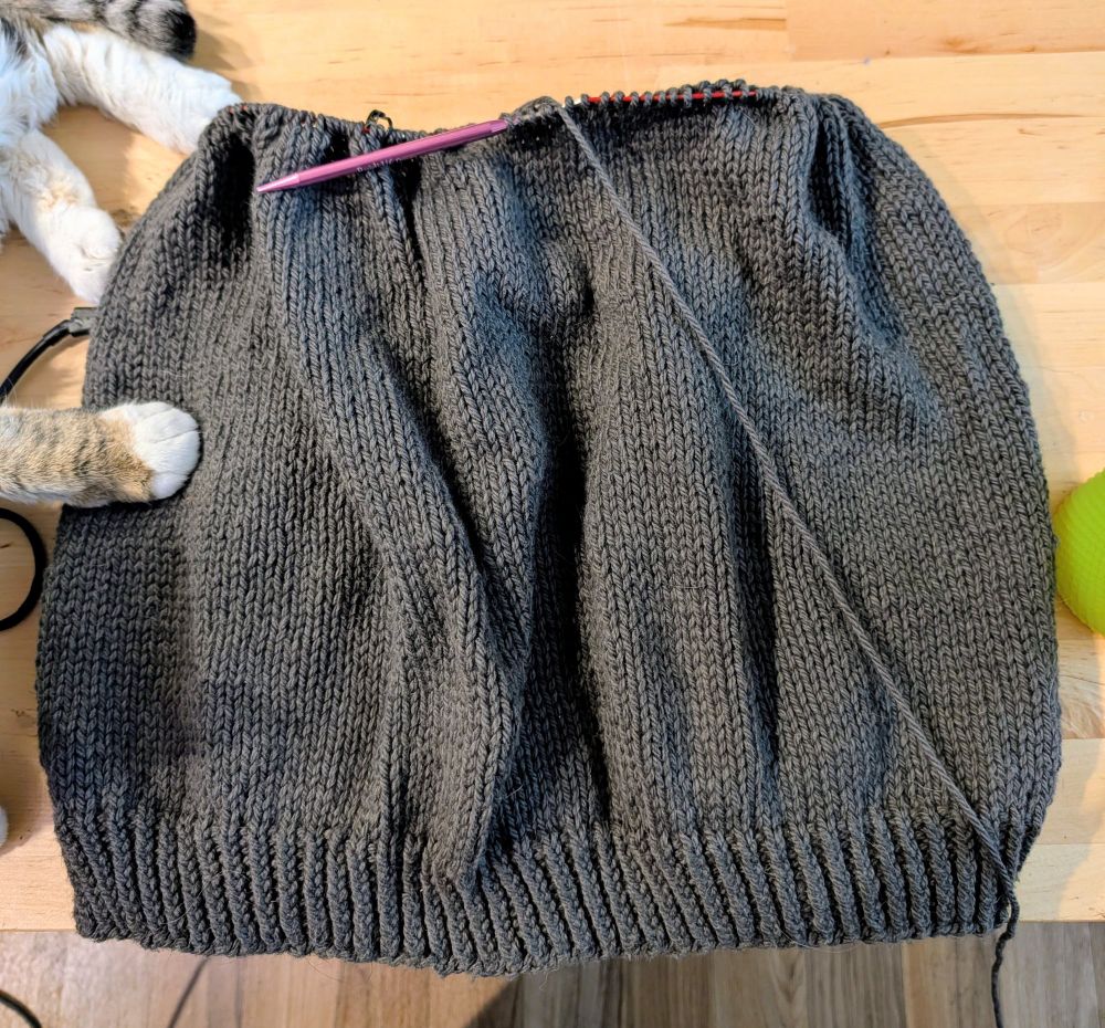 About 12 inches of the body of an unfinished sweater knitted from the bottom up, still on the needles, laid flat on a table with a cute cat paw on the corner.
