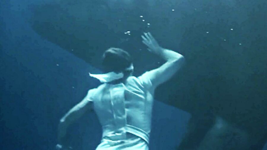 Spock swimming up to a whale in ST4