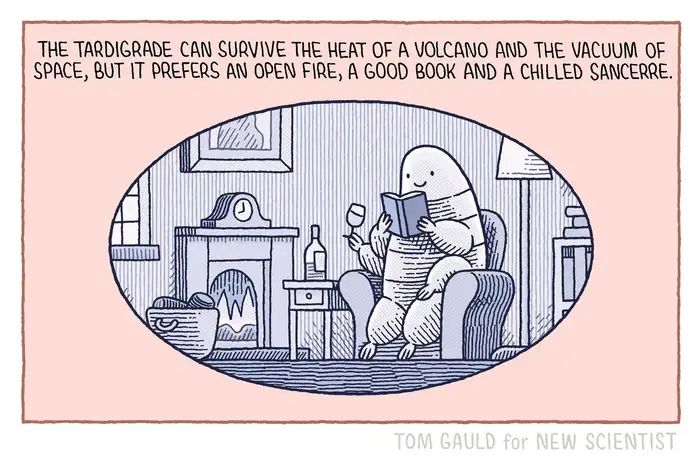 Caption: The Tardigrade can survive the heat of a volcano and the vacuum of space, but it prefers an open fire, a good book and a chilled Sancerre.

Image: A tardigrade (a cute, plump micro-animal with eight legs - six of which are in view) sits in a tiny armchair, reading with a glass of wine in one hand and a smile on its face.