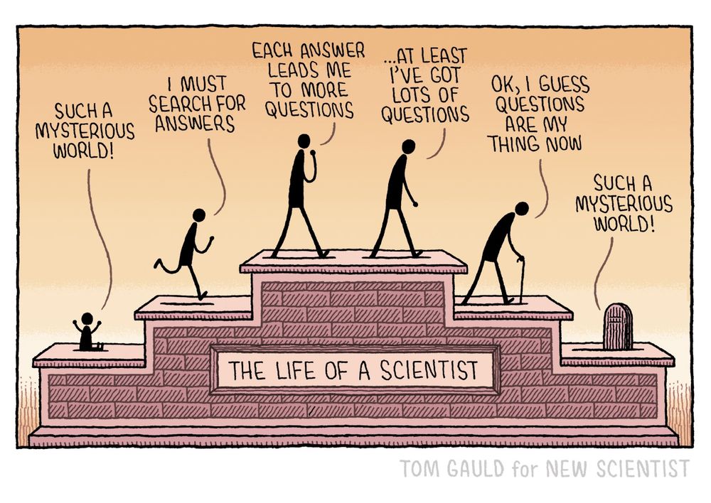 A cartoon titled ‘The Life of a Scientist’.

(The life is depicted as a set of steps, three up then three down with a character on each)

Baby: Such a mysterious world! 
Child: I must search for answers 
Young adult: Each answer leads me to more questions 
Middle age: ... At least I've got lots of questions 
Old age: Ok, I guess questions are my thing now 
From grave: Such a mysterious world! 