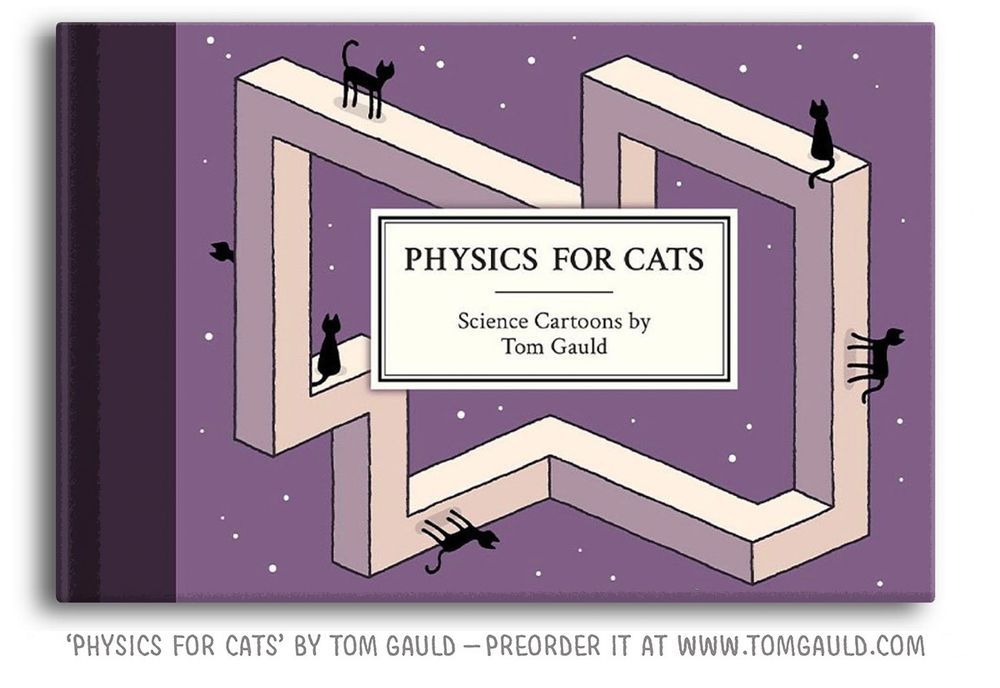 An image of the book 'Physics for Cats' by Tom Gauld. On the cover is an impossible shape against a starry sky. Gravity-defying cats wander around it.