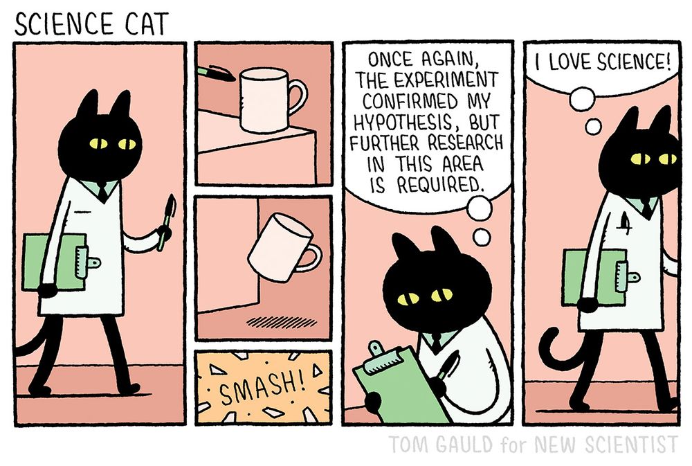 Title: SCIENCE CAT

Panel one: A black cat walks into frame wearing a white lab coat and carrying a clipboard and pen.

Panels two, three, four: A mug sits near the edge of a table. Science Cat's pen appears from the right ans gently pushes it off the table. It falls to the floor and smashes.

Panel five: Science Cat writes on the clipboard and thinks "Once again, the experiment confirmed my hypothesis, but further research in this area is required.

Panel 6: Science cat leaves, thinking "I love science!"