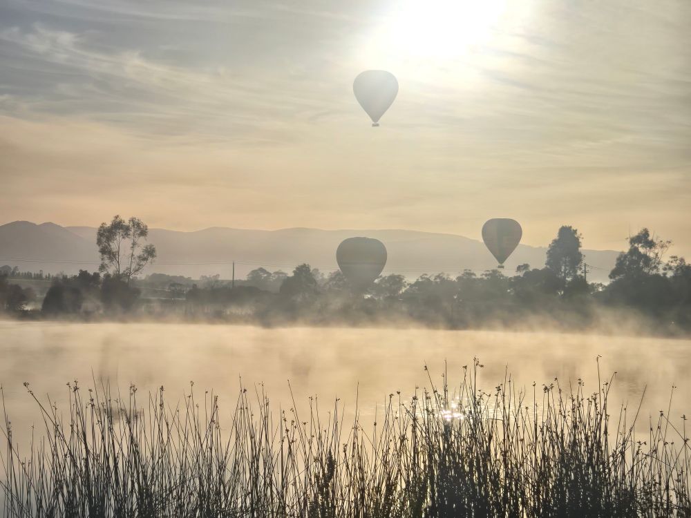 Three hot air balloons descending into the dawn lit treeline, before a misty pond lined with reeds and illuminated by the rising sun