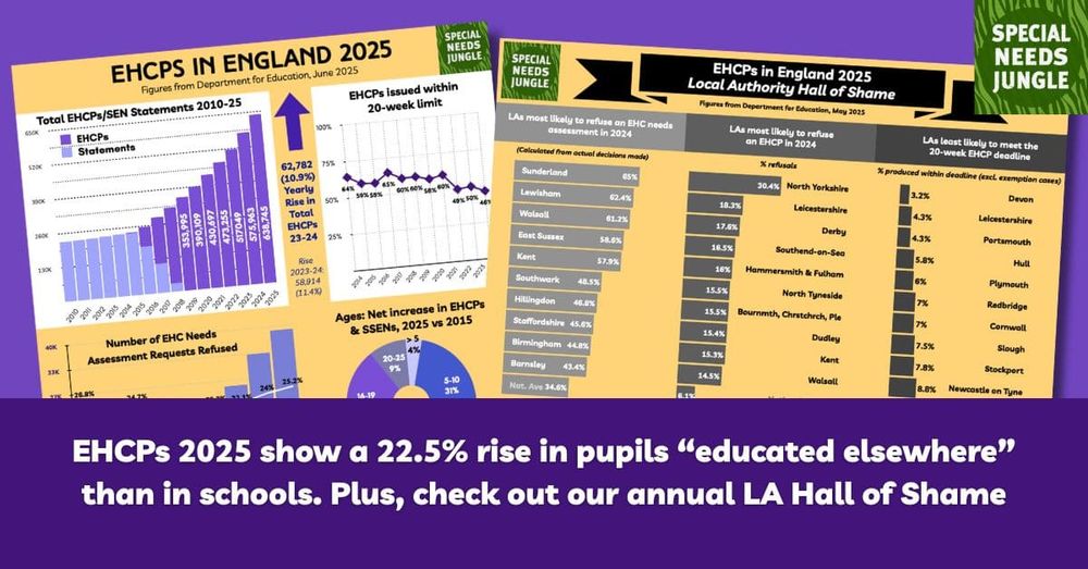 images shows shots of the infographics that can be found in the post, along with accessible PDFs