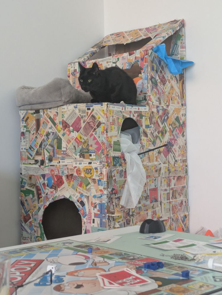 Photo d'une grande maison en carton, sur plusieurs étages, avec des ouvertures sur plusieurs façades. 
Au dernier étage, elle comporte aussi un toit en pente, ainsi qu'une terrasse, sur laquelle on peut voir un gros chat noir. 
